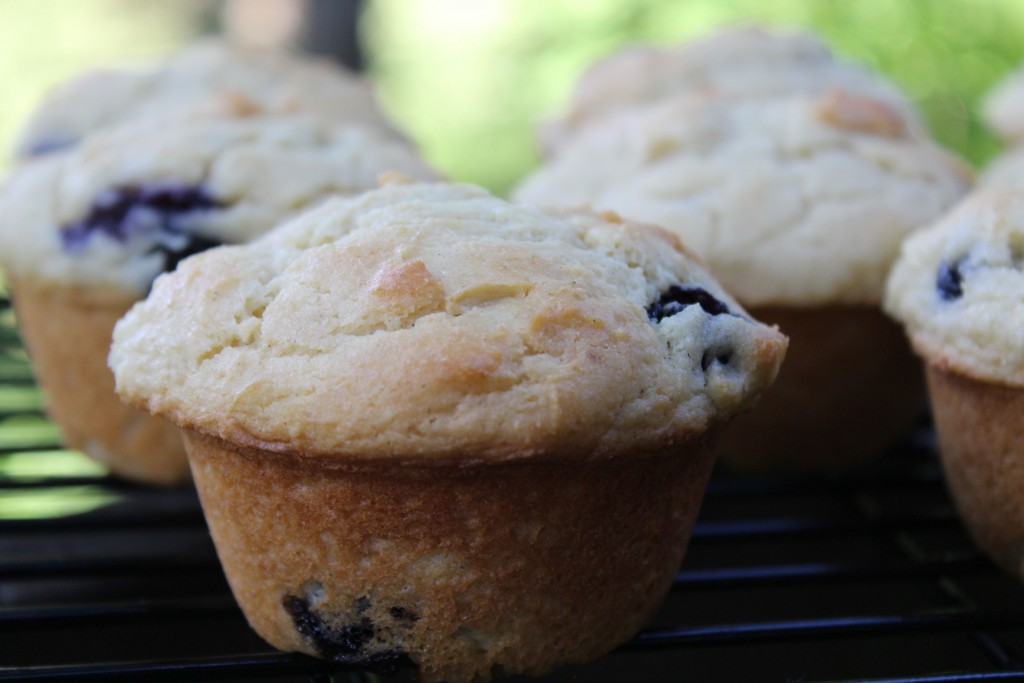 gluten free blueberry sour cream muffins
