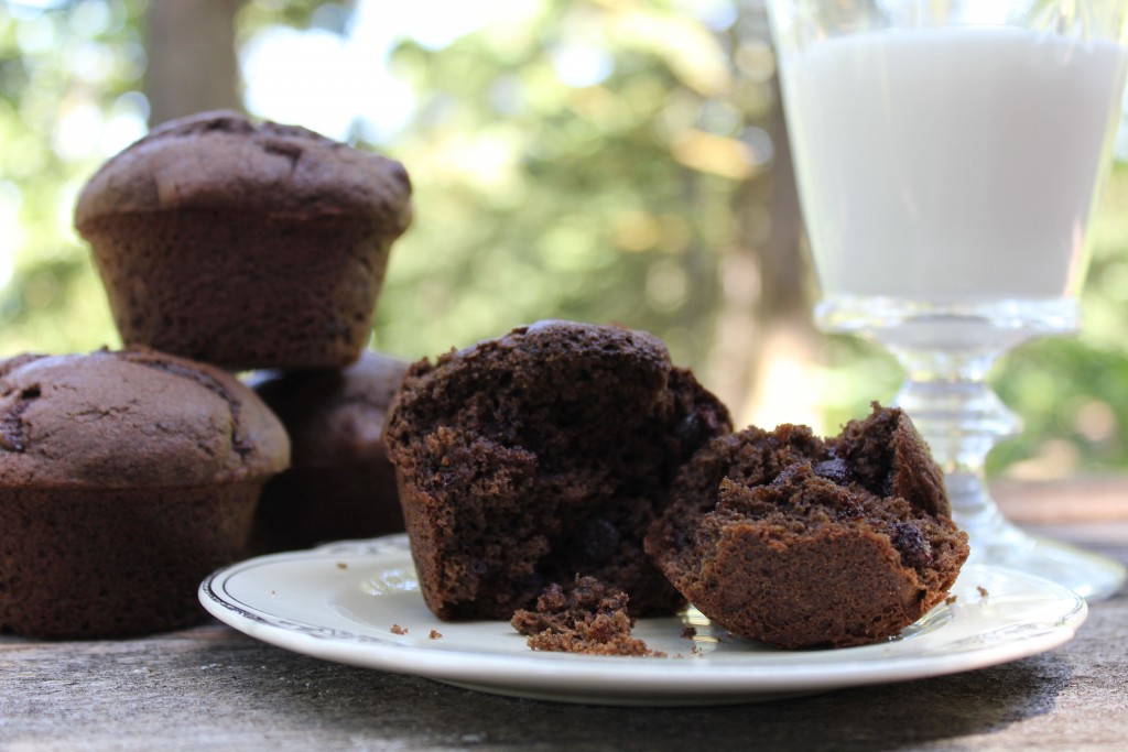 Awesome chocolate chip muffins with coffee. Breakfast!